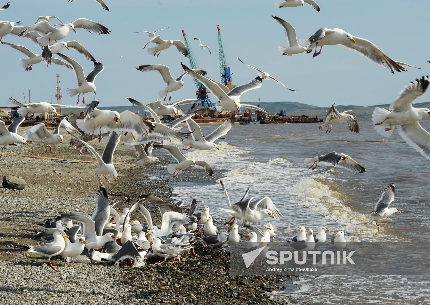 Mass salmon fishing near Bering Sea in Anadyr