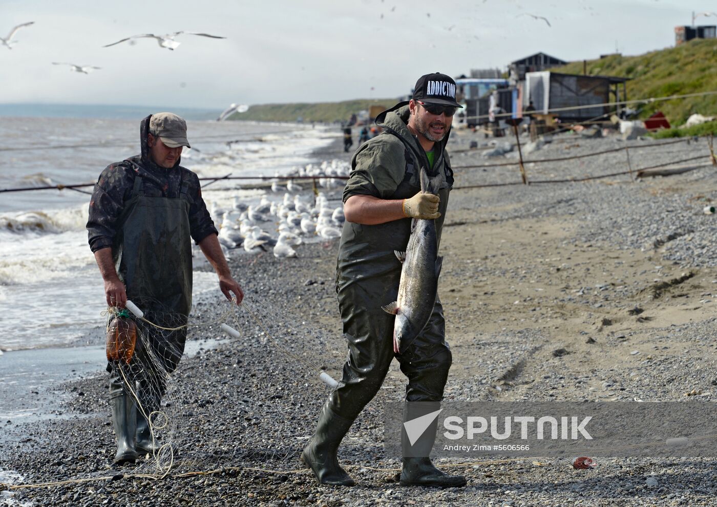 Mass salmon fishing near Bering Sea in Anadyr