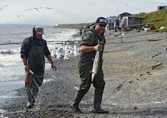 Mass salmon fishing near Bering Sea in Anadyr