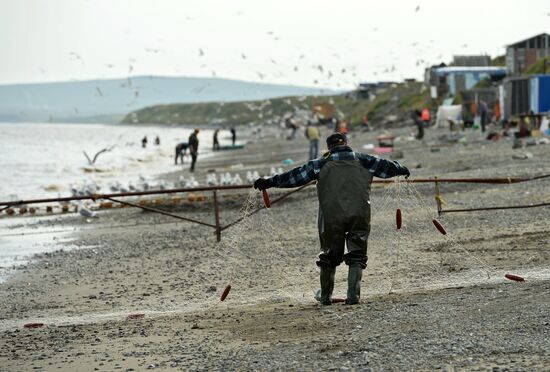 Mass salmon fishing near Bering Sea in Anadyr