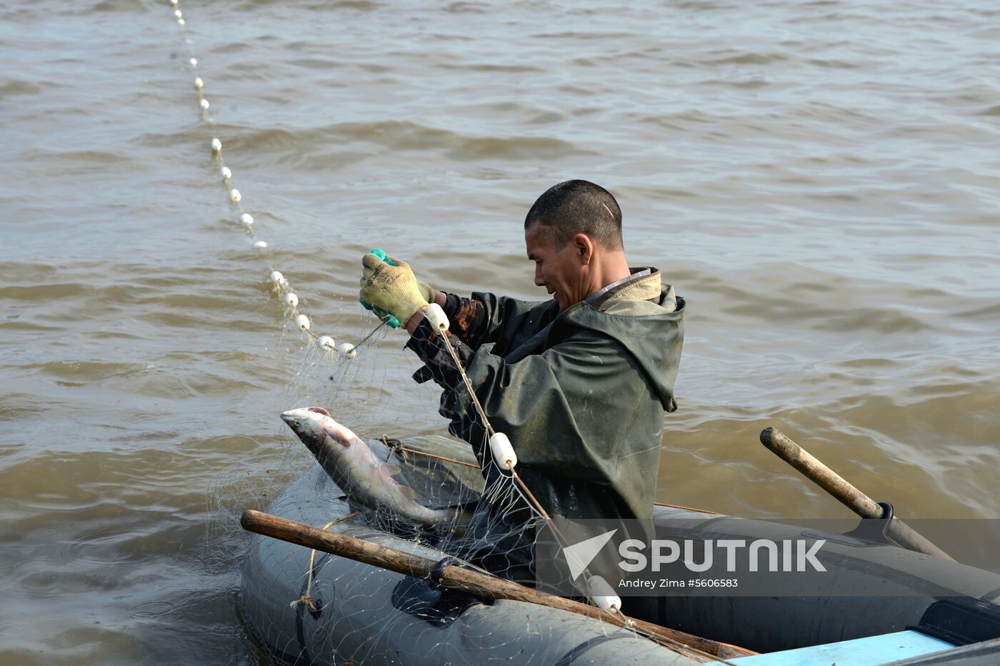 Mass salmon fishing near Bering Sea in Anadyr