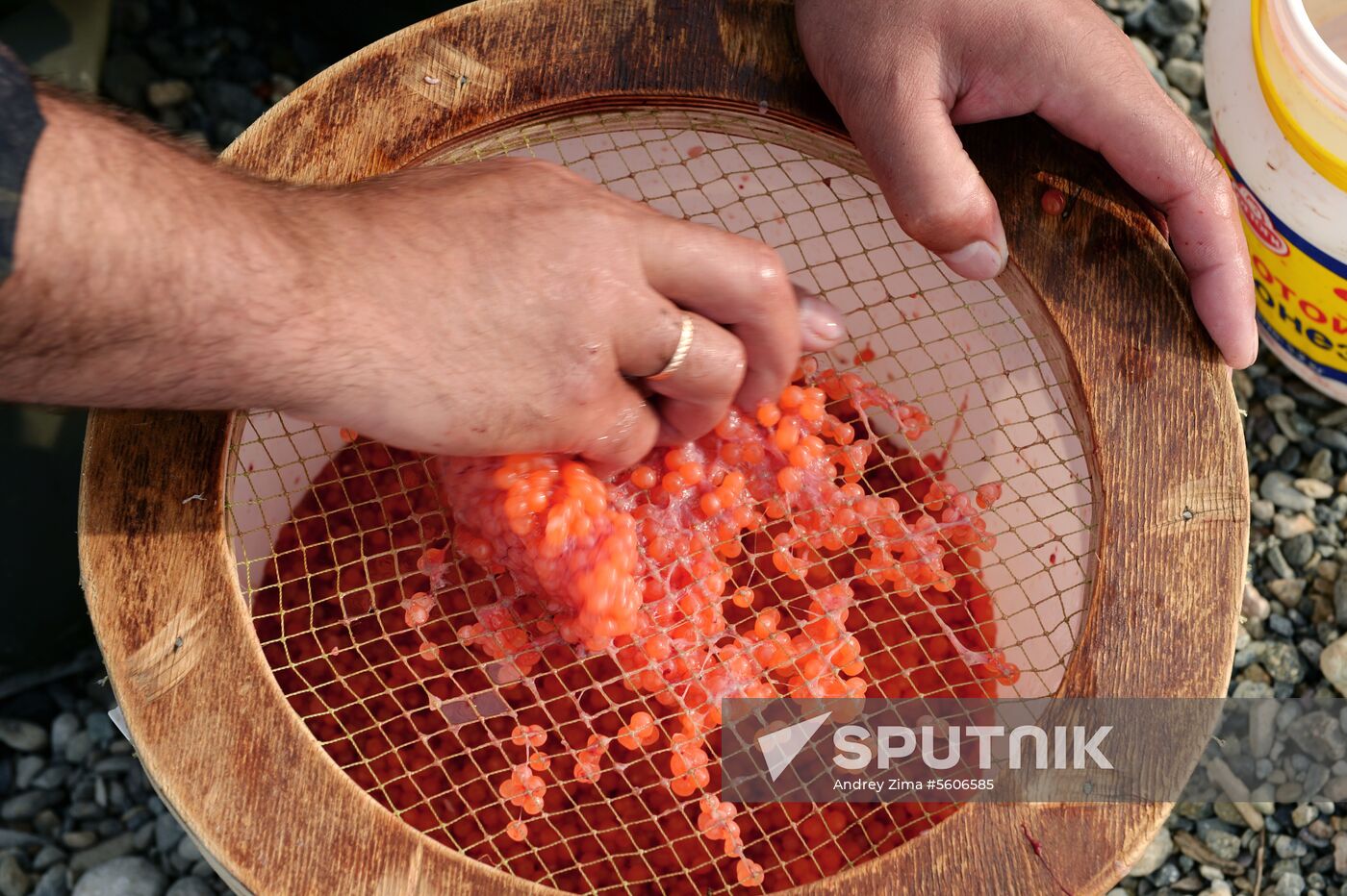 Mass salmon fishing near Bering Sea in Anadyr