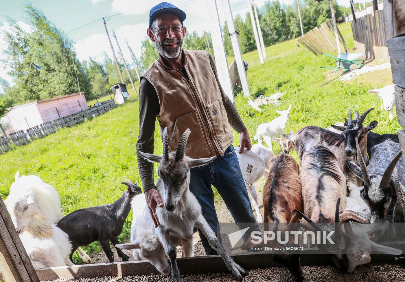 Jay Robert Close's farm in Moscow Region