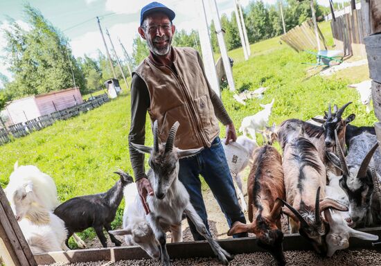 Jay Robert Close's farm in Moscow Region