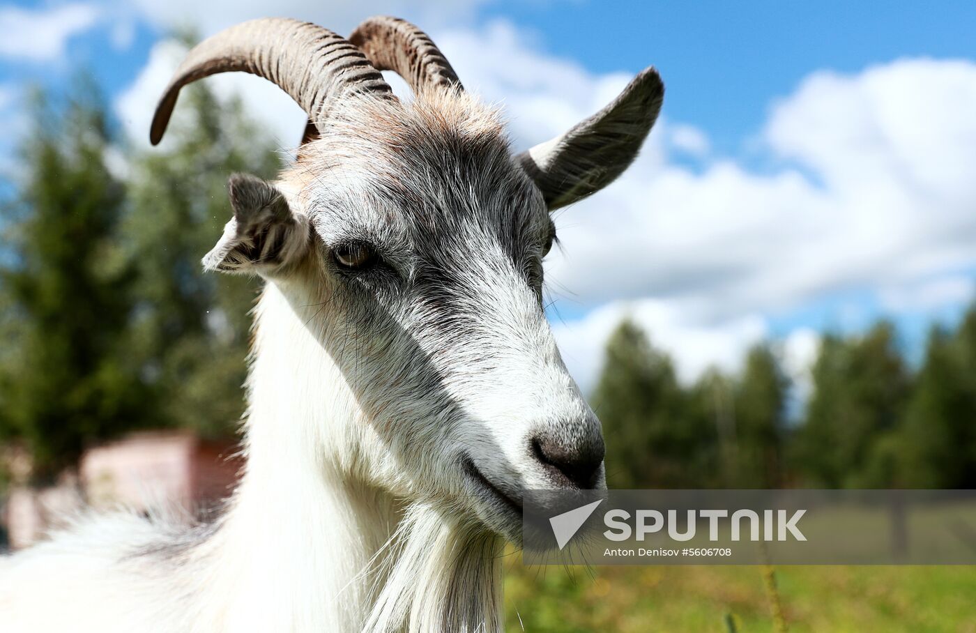 Jay Robert Close's farm in Moscow Region