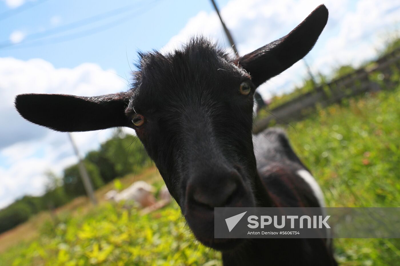 Jay Robert Close's farm in Moscow Region