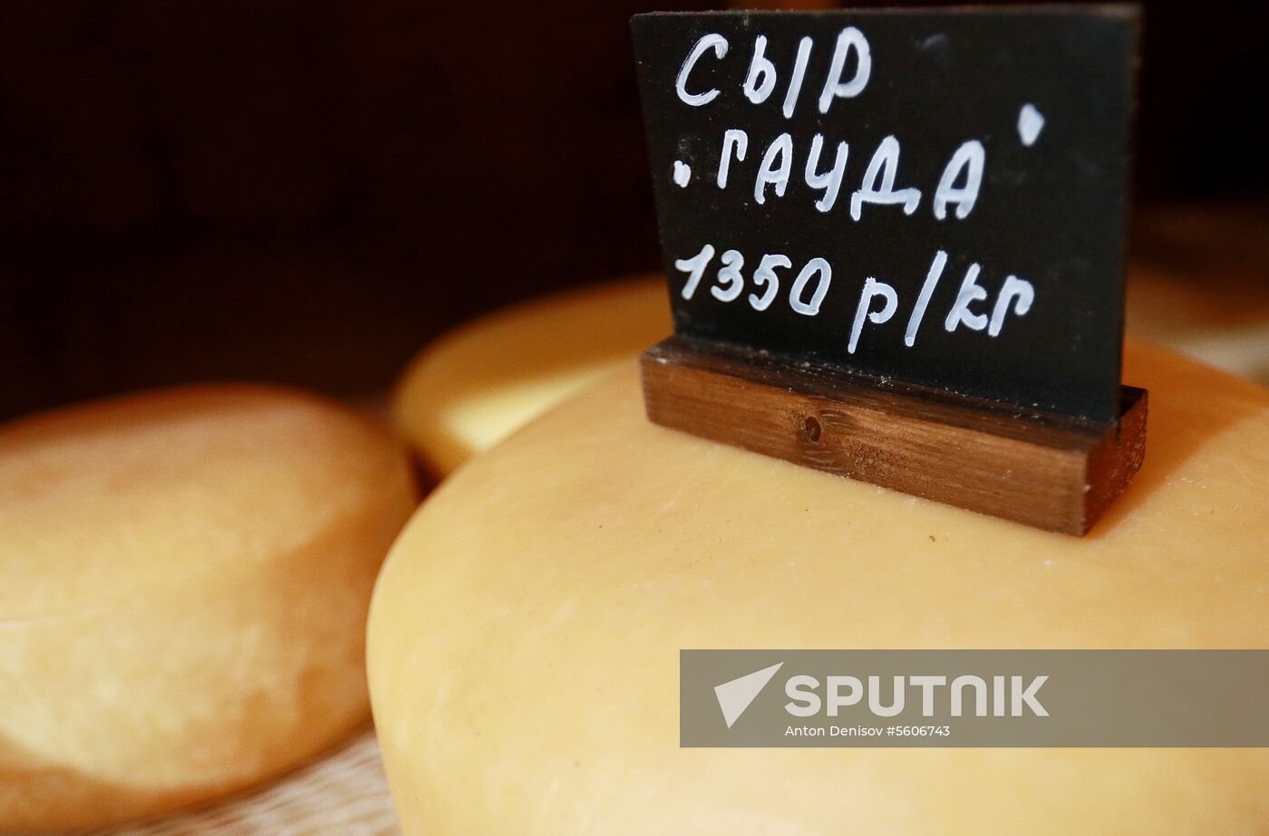 Jay Robert Close's farm in Moscow Region