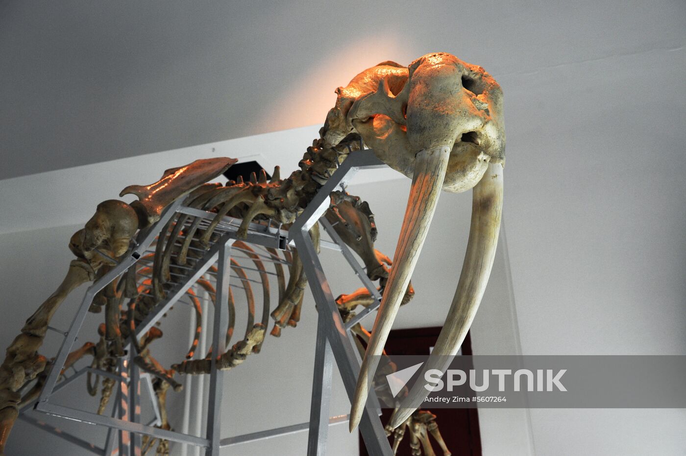 Russian cities. Anadyr