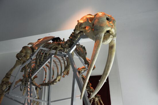 Russian cities. Anadyr