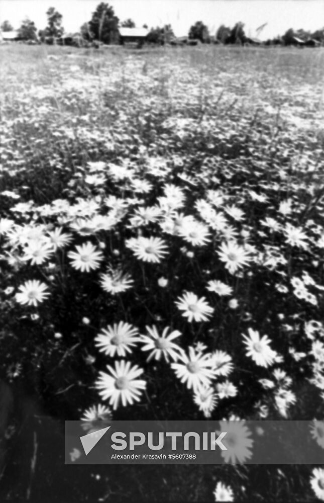Exhibition of young photo enthusiasts