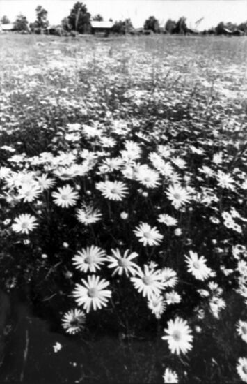 Exhibition of young photo enthusiasts