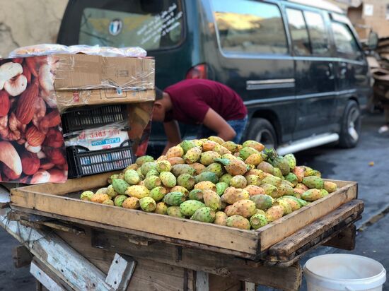 Cities of the world. Amman