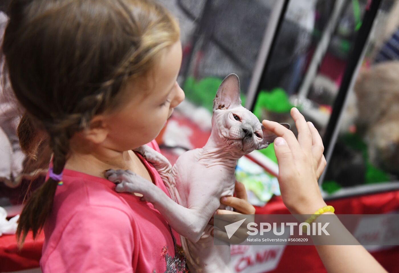 Pearl Cat Show international exhibition