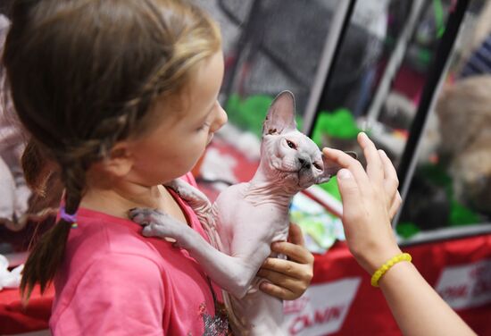 Pearl Cat Show international exhibition