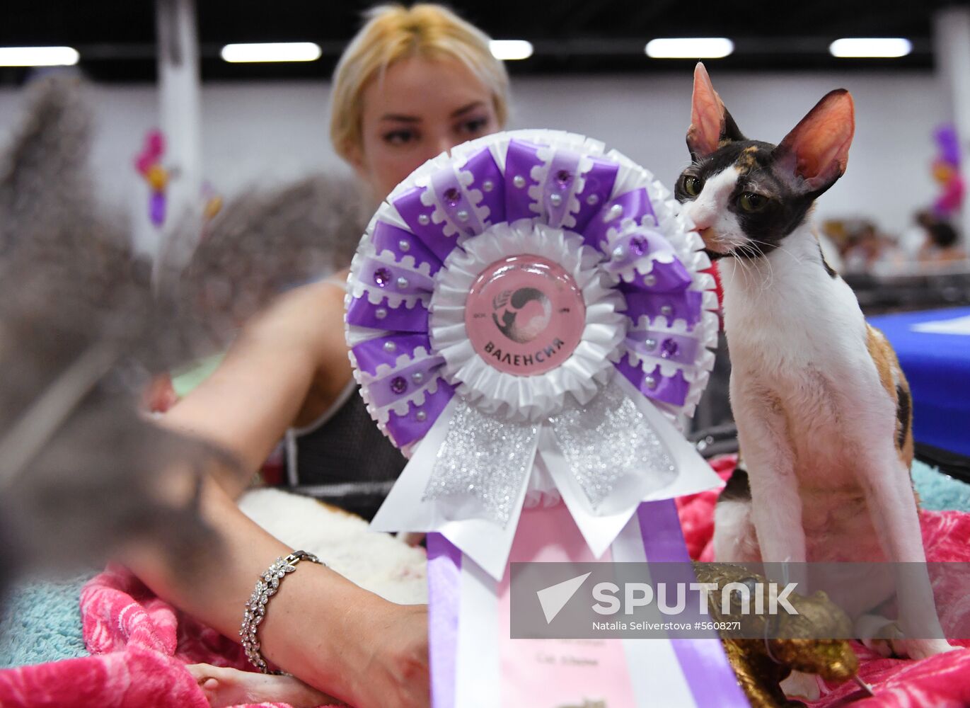 Pearl Cat Show international exhibition