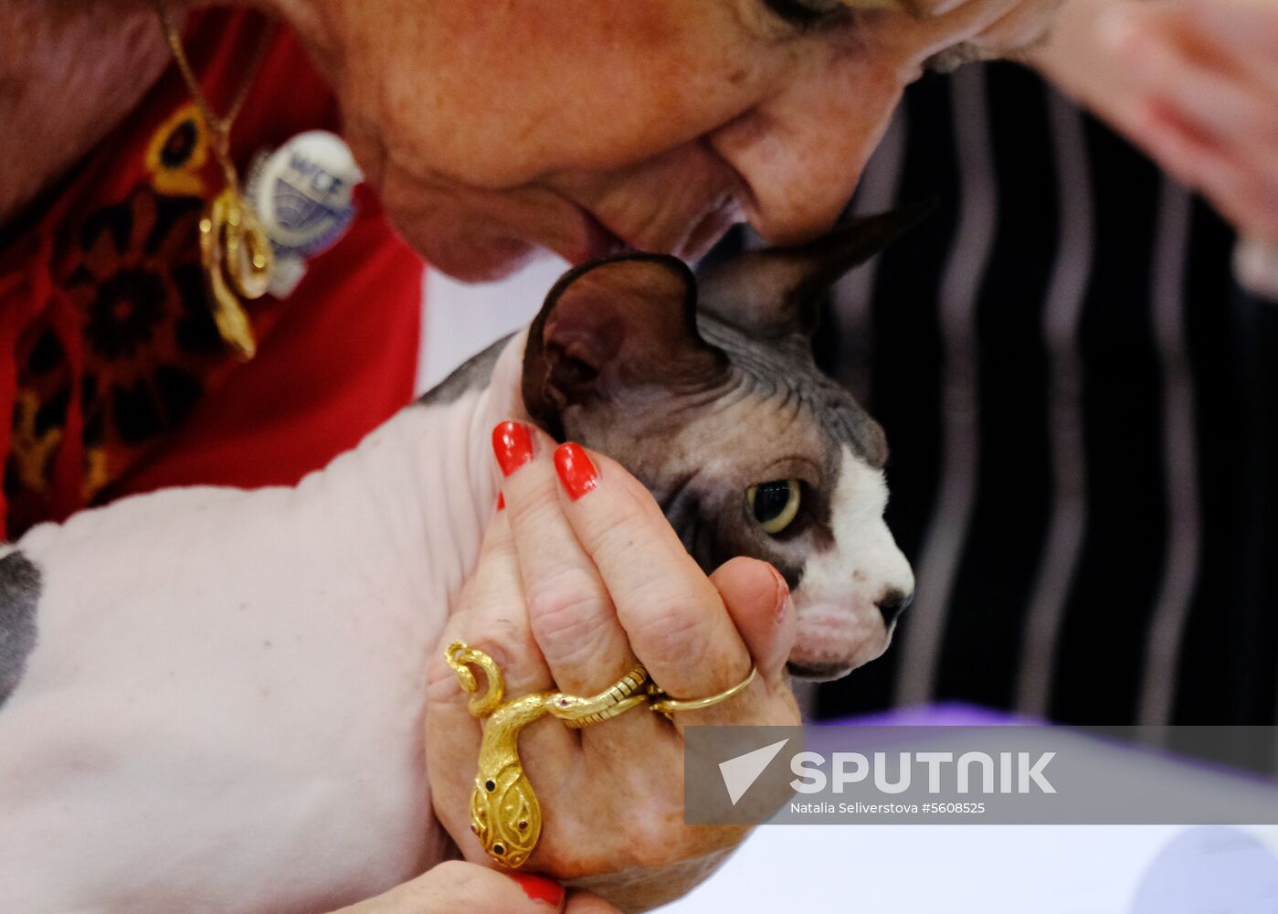 Pearl Cat Show international exhibition