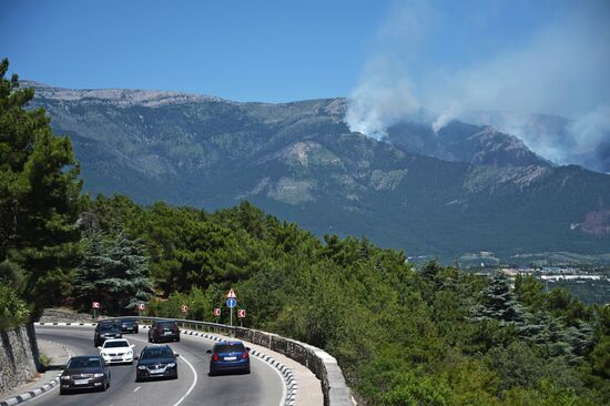 Fire-fighting operation in mountain and forest reserve near Yalta