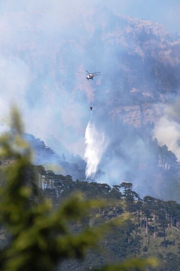 Fire-fighting operation in mountain and forest reserve near Yalta