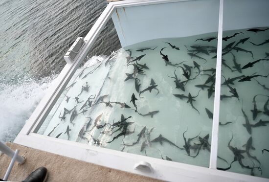 President Vladimir Putin attends Fifth Caspian Summit in Aktau, Kazakhstan