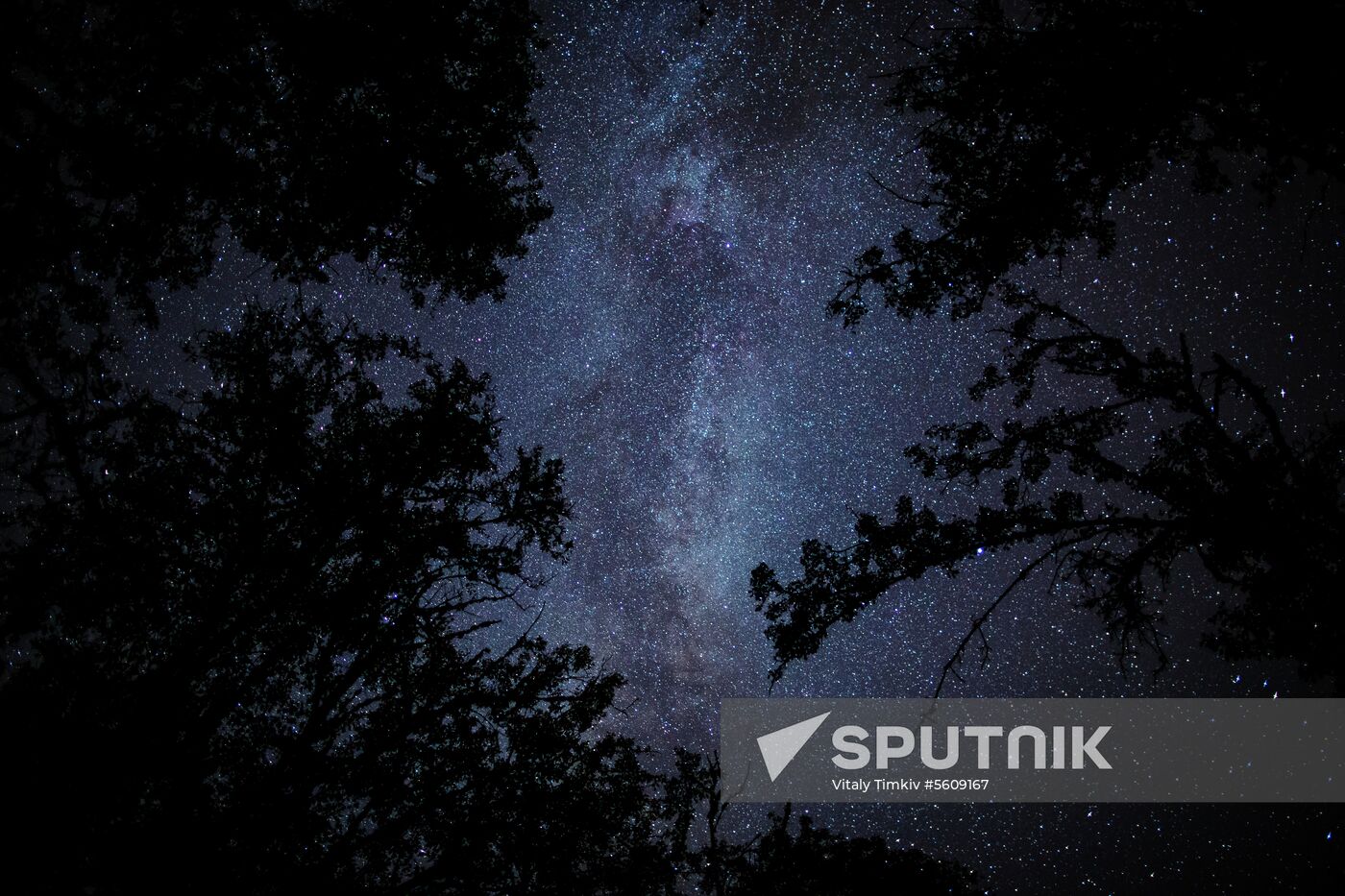 Starry sky in Crimea