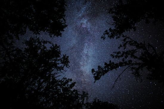 Starry sky in Crimea