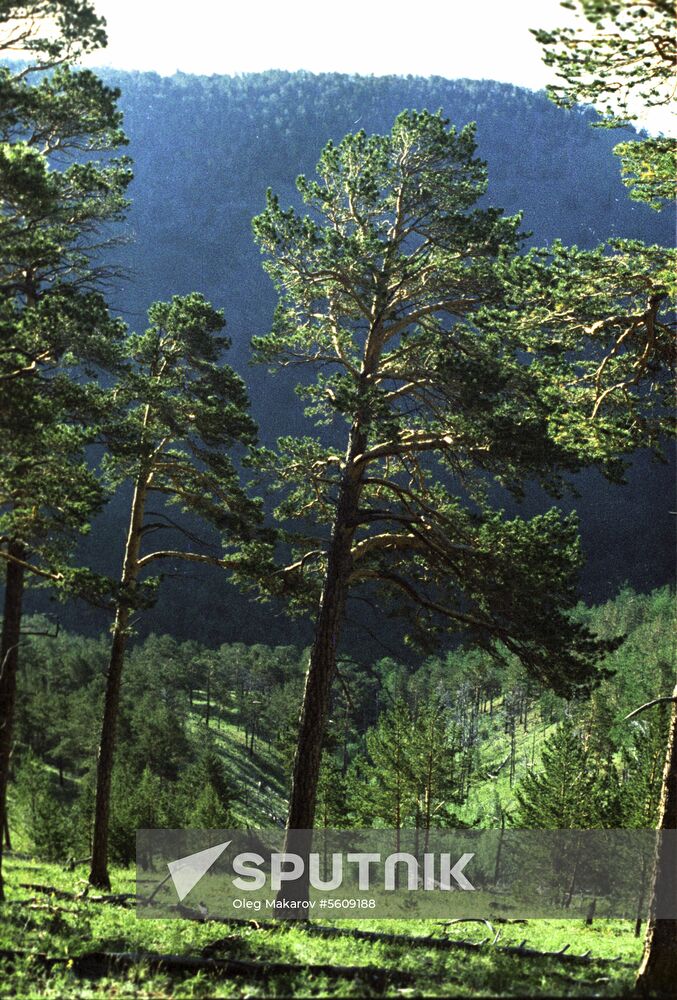 Baikal Territory