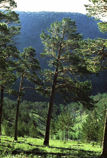 Baikal Territory