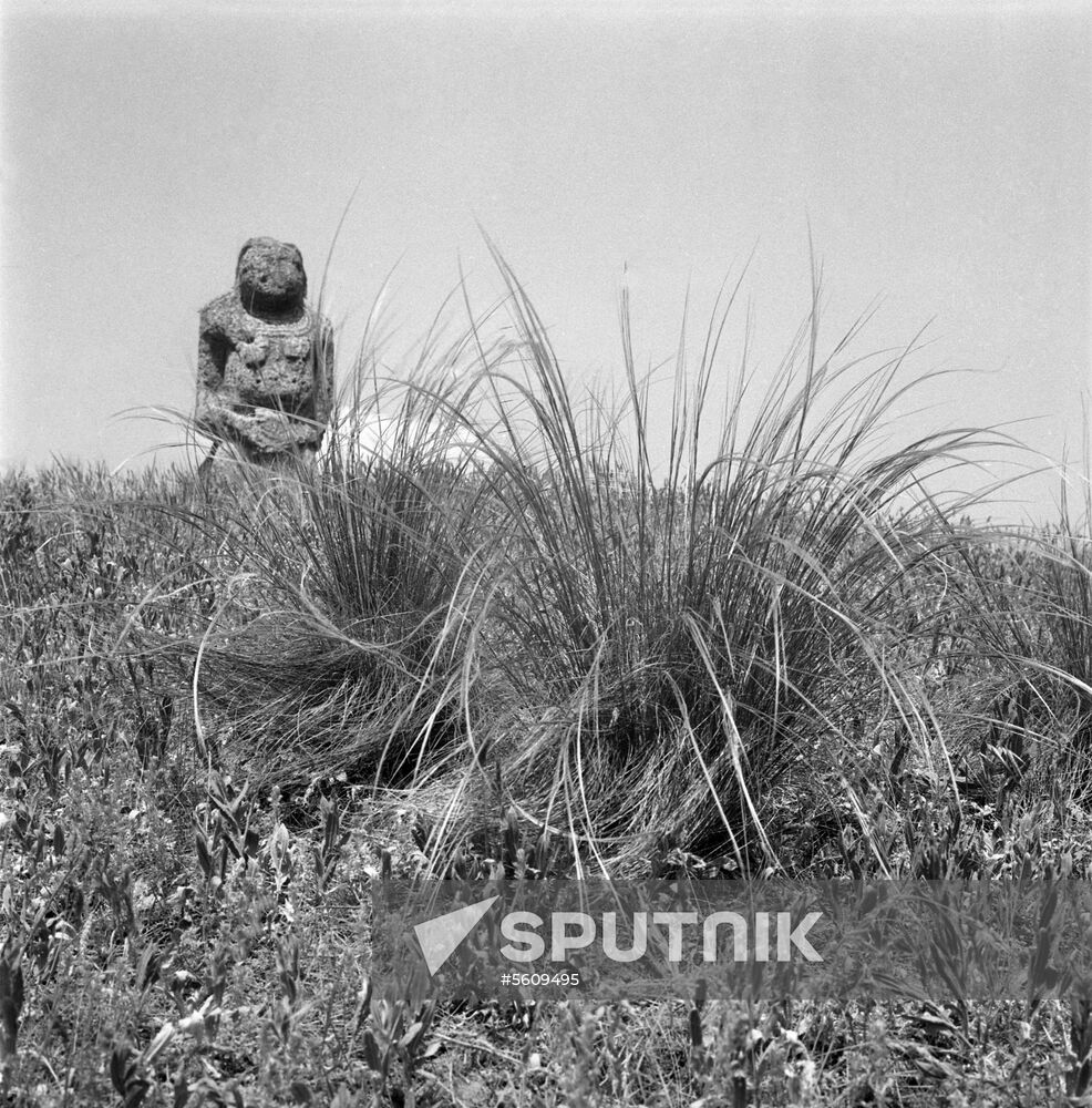 Askania-Nova reserve