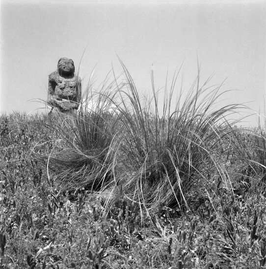 Askania-Nova reserve