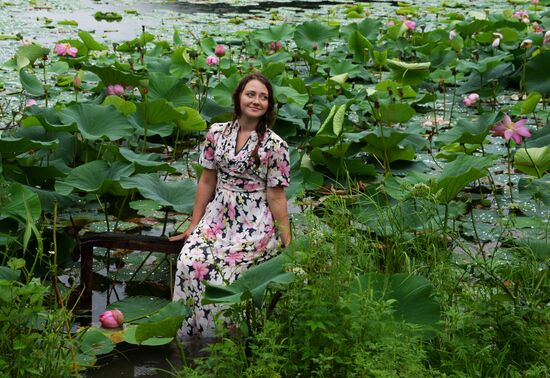 Lotuses blooming in Primorye Territory