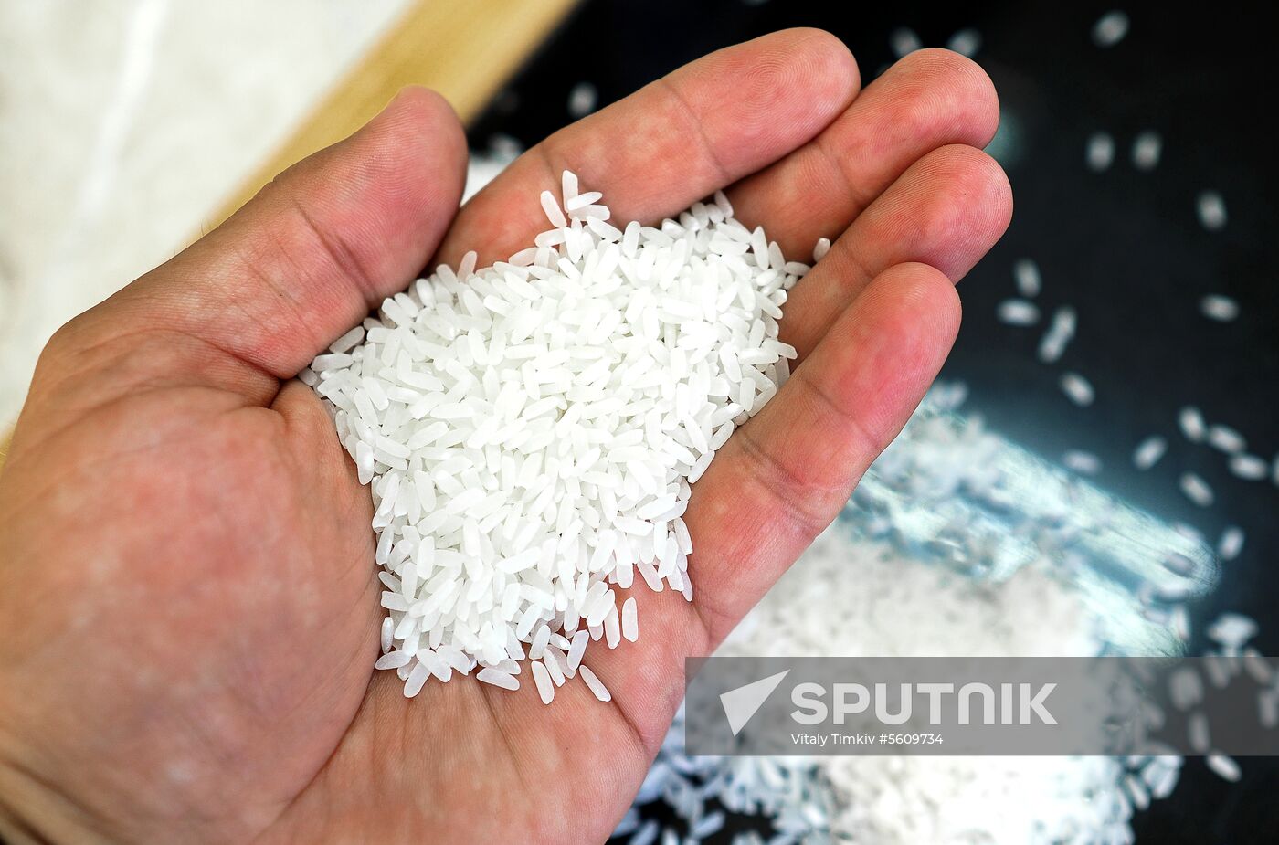 Growing rice in Krasnodar Territory