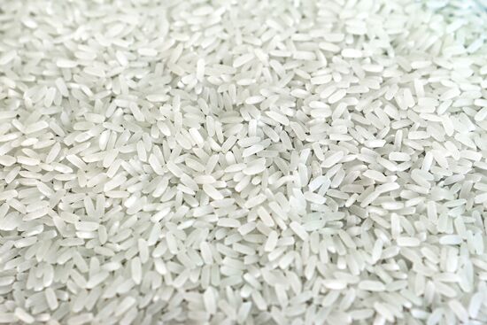 Growing rice in Krasnodar Territory