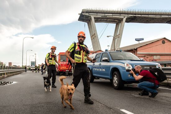 Highway bridge collapses in Genoa