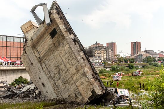 Highway bridge collapses in Genoa