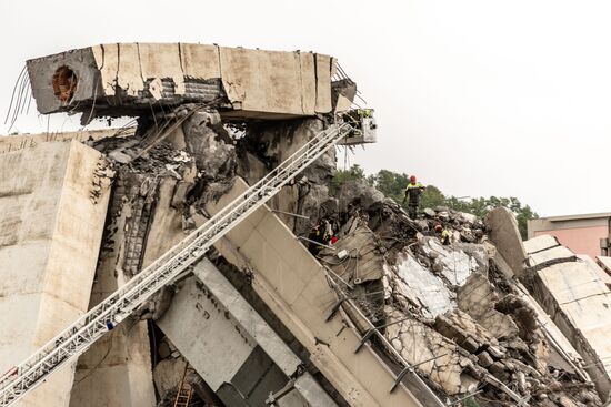 Highway bridge collapses in Genoa