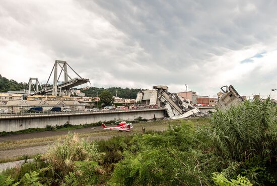 Highway bridge collapses in Genoa