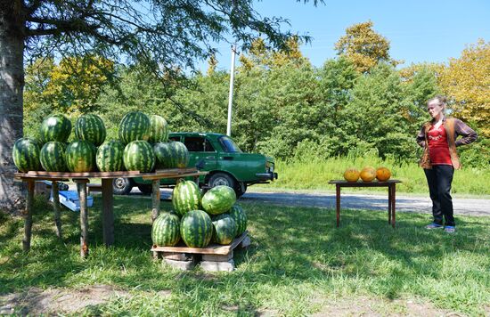Roadside trade in Abkhazia