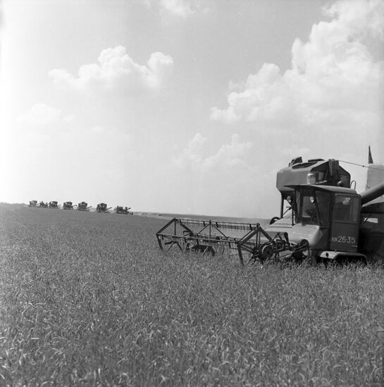 Oktyabr collective farm in Krasnodar Territory