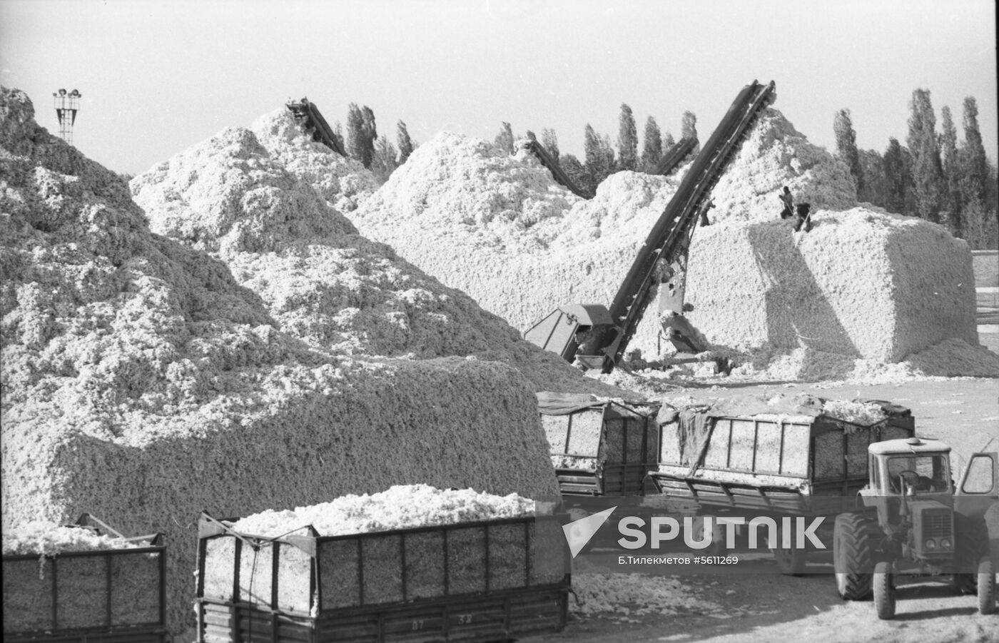 Shakhrihon Cotton Gin Plant