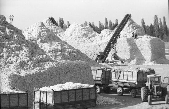 Shakhrihon Cotton Gin Plant