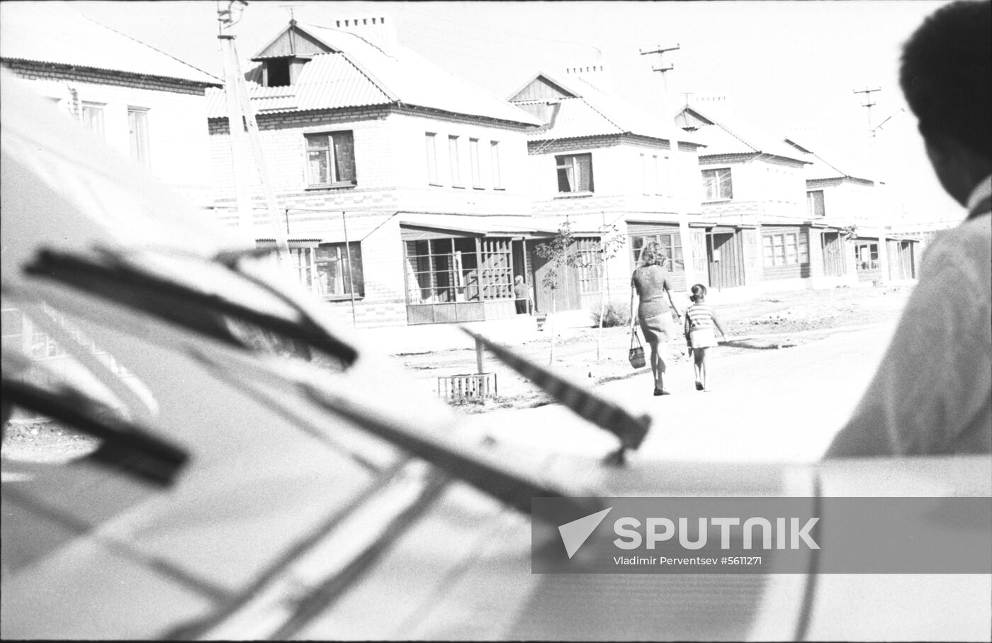 Kurgansky state farm in Kuban