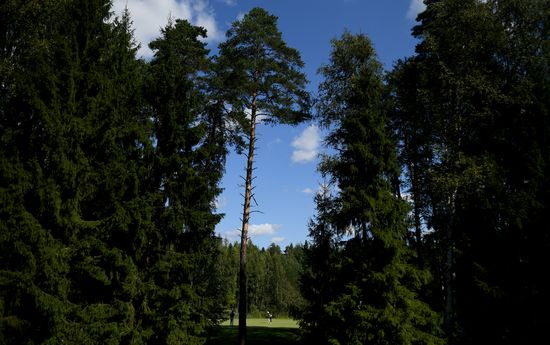 Golf. 2018 European Senior Tour. VTB Russian Open