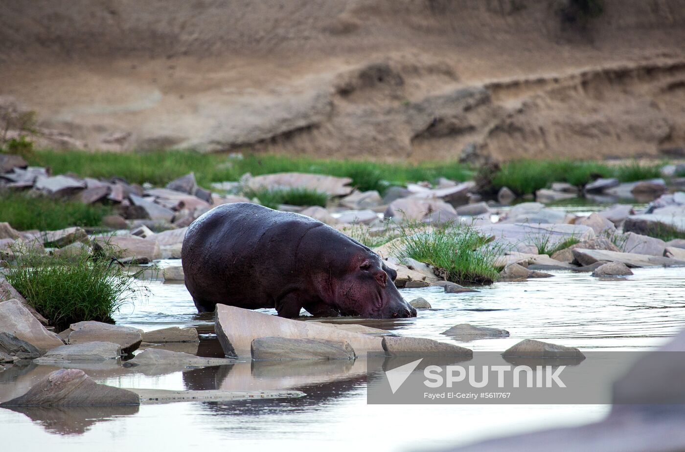 Kenya's Maasai Mara National Reserve