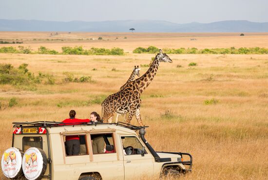Kenya's Maasai Mara National Reserve