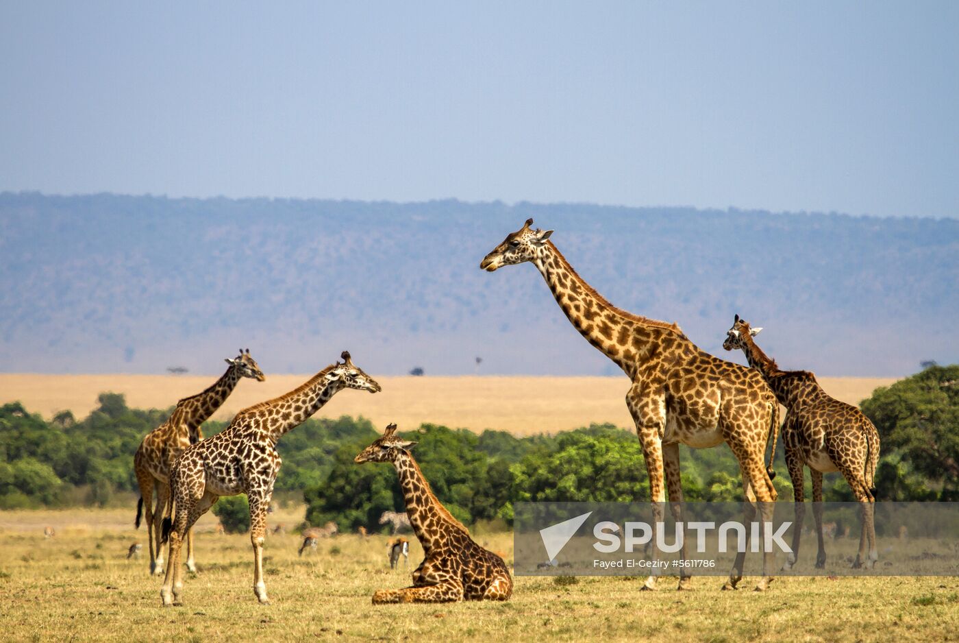 Kenya's Maasai Mara National Reserve