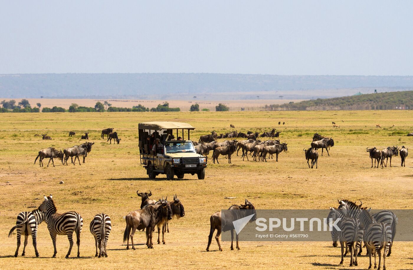 Kenya's Maasai Mara National Reserve