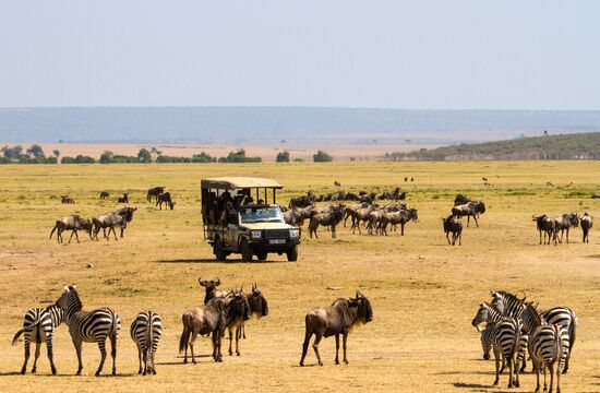 Kenya's Maasai Mara National Reserve