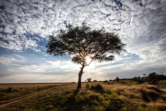 Kenya's Maasai Mara National Reserve
