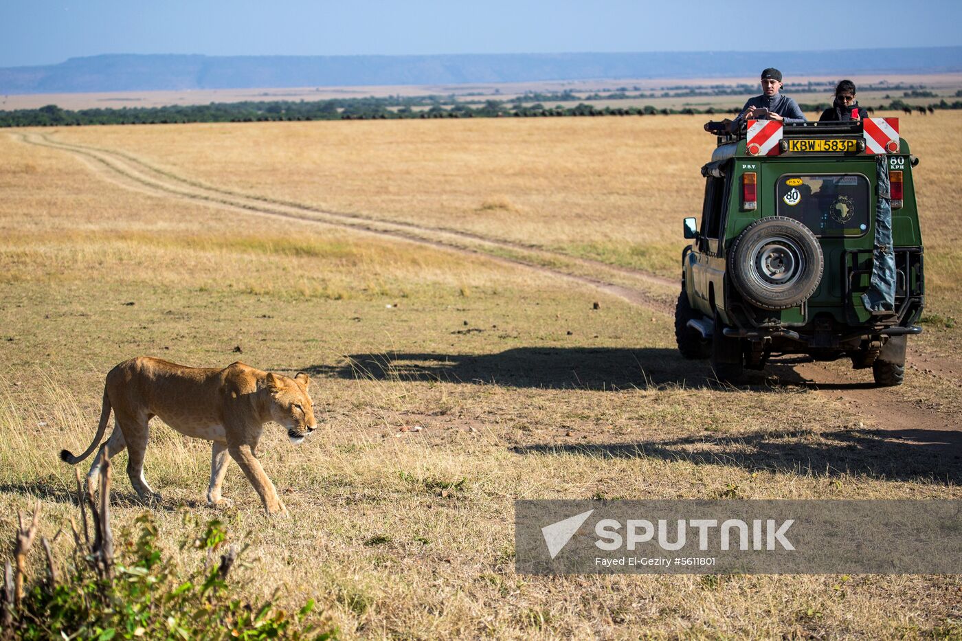 Kenya's Maasai Mara National Reserve