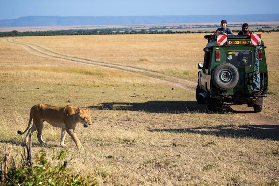 Kenya's Maasai Mara National Reserve